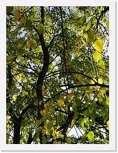 2022-10-29-15h36m19 * 2736 x 3648 * (2.47MB)