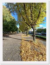IMG20221002163949 * 2448 x 3264 * (5.22MB)