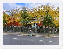 IMG20221003165207 * 4624 x 3468 * (7.11MB)