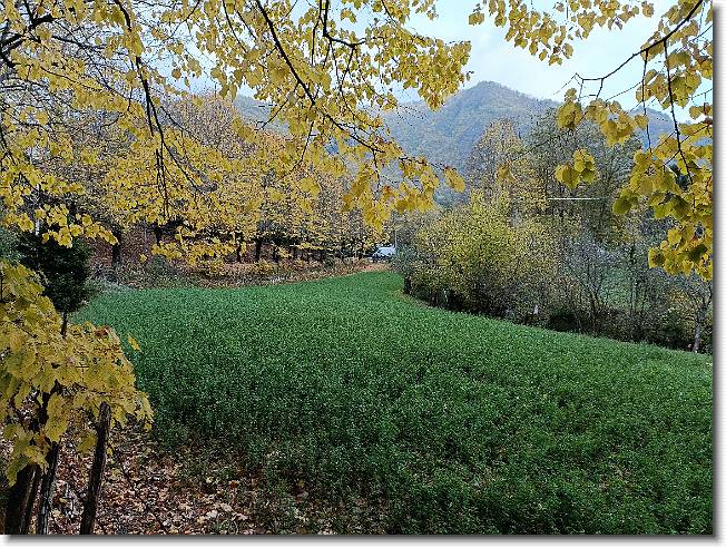 Clicca per scorrere le foto originali ingrandite