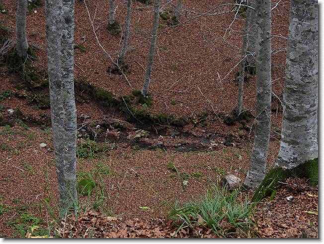 Clicca per scorrere le foto originali ingrandite