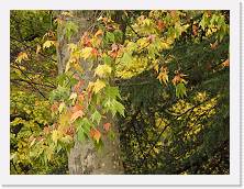2022-11-13-14h11m26 * 4608 x 3456 * (4.15MB)