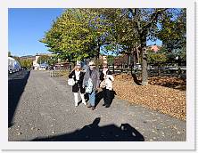 IMG20221105140446 * 4624 x 3468 * (8.5MB)