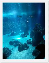 2023-05-07-12h41m29 * 3468 x 4624 * (3.95MB)