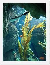 2023-05-07-14h03m37 * 2448 x 3264 * (2.61MB)