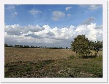 IMG20231015162737 * 4624 x 3468 * (6.02MB)