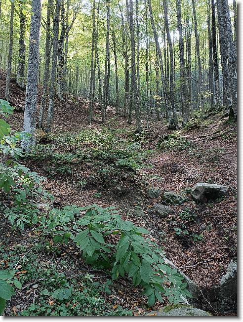 Clicca per scorrere le foto originali ingrandite