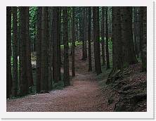 2023-10-04-14h16m14 * 4624 x 3468 * (4.17MB)