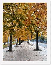 2023-11-05-08h37m48 * 3468 x 4624 * (5.16MB)
