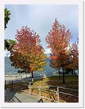 2023-11-05-10h18m50 * 3468 x 4624 * (8.1MB)