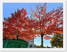 2023-11-05-14h23m16 * 4624 x 3468 * (8.35MB)
