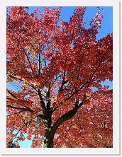 2023-11-05-14h24m24 * 3468 x 4624 * (8.89MB)
