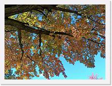 2023-11-05-14h27m21 * 4624 x 3468 * (8.14MB)
