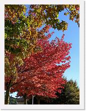 2023-11-05-14h27m44 * 3468 x 4624 * (8.34MB)