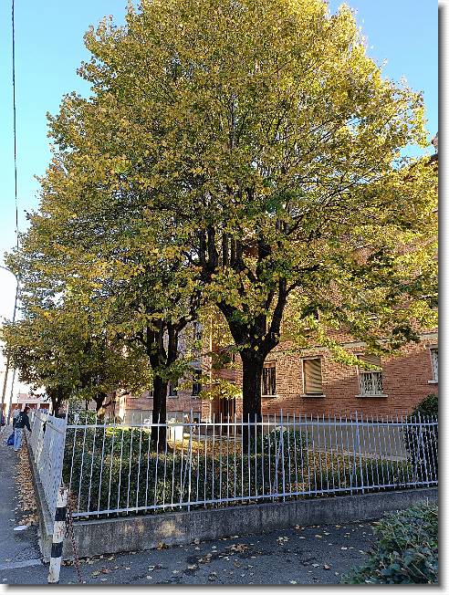 Clicca per scorrere le foto originali ingrandite