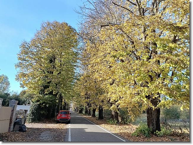 Clicca per scorrere le foto originali ingrandite