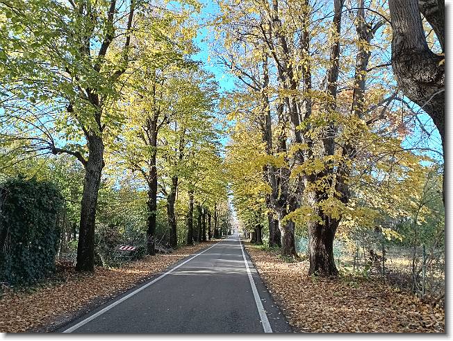 Clicca per scorrere le foto originali ingrandite