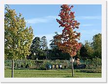 2023-10-27-16h29m34 * 4624 x 3468 * (5.13MB)