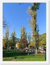 2023-11-17-11h17m10 * 3468 x 4624 * (8.23MB)