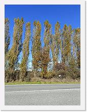 2023-11-18-11h52m42 * 3468 x 4624 * (10.01MB)