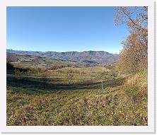 IMG20231210115852 * Oplus_4 * Oplus_4 * 3648 x 3088 * (5.21MB)