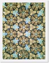 2024-01-06-15h41m21 * 2736 x 3648 * (818KB)
