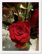 IMG20240511145625 * 2448 x 3264 * (2.05MB)