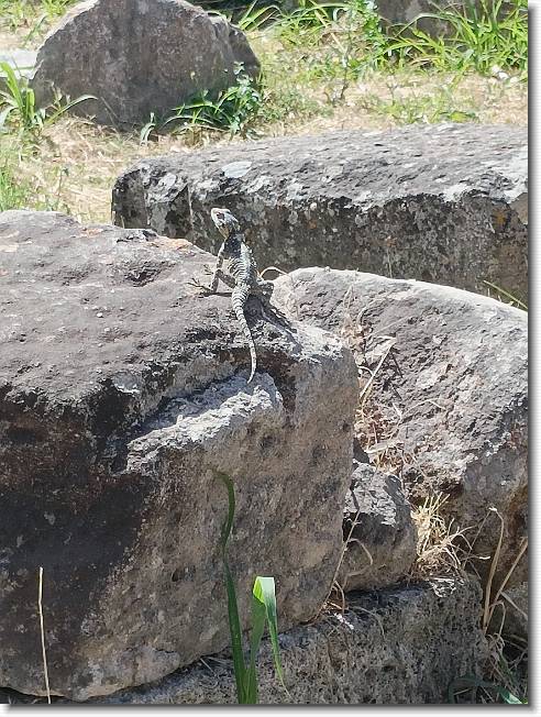 Clicca per scorrere le foto originali ingrandite