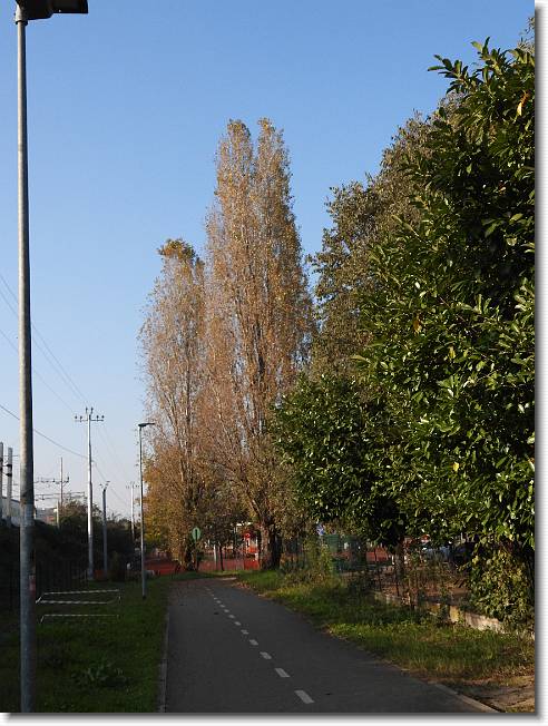 Clicca per scorrere le foto originali ingrandite