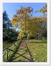 2024-11-11-12h25m10 * 3468 x 4624 * (9.71MB)