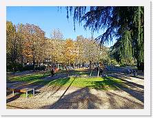 IMG20241122114946 * 4624 x 3468 * (9.96MB)