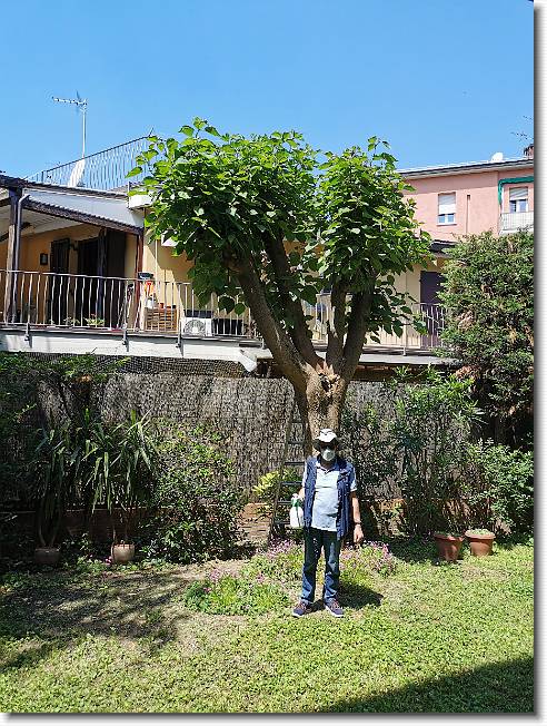 Clicca per scorrere le foto originali ingrandite