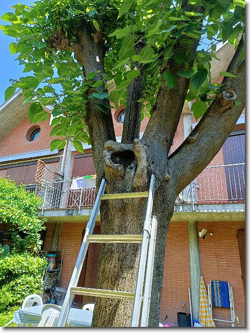Clicca per scorrere le foto originali ingrandite