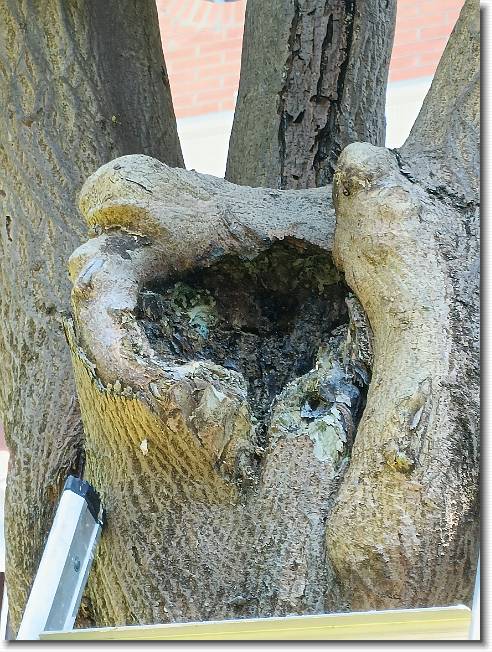 Clicca per scorrere le foto originali ingrandite