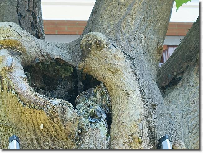 Clicca per scorrere le foto originali ingrandite