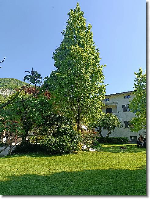 Clicca per scorrere le foto originali ingrandite