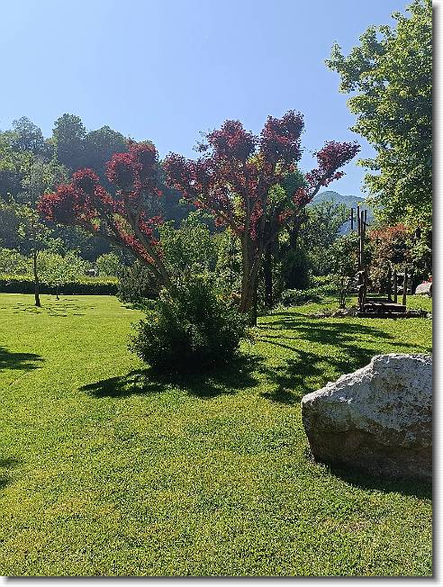 Clicca per scorrere le foto originali ingrandite