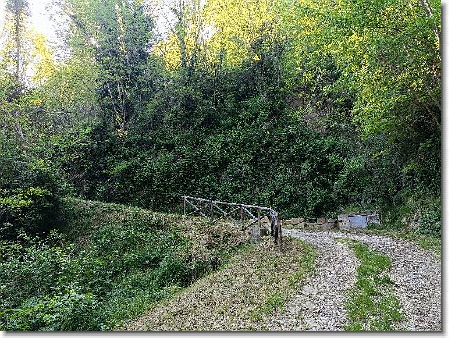 Clicca per scorrere le foto originali ingrandite