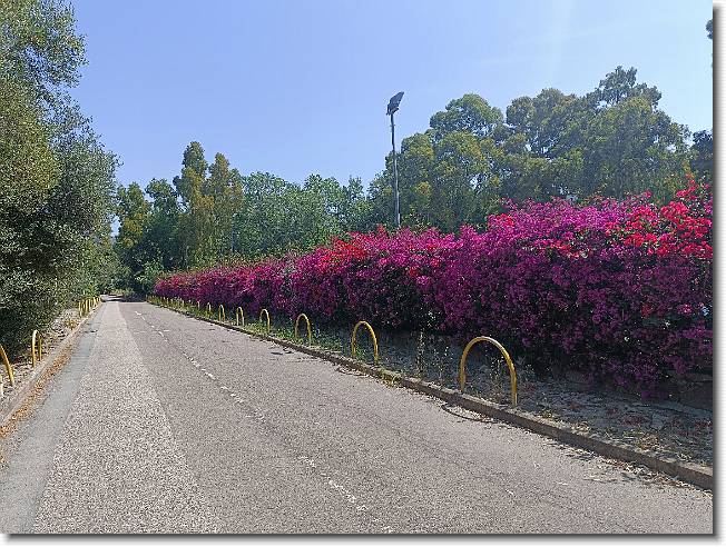 Clicca per scorrere le foto originali ingrandite
