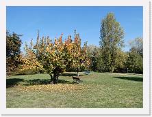 2025-10-29-13h36m31 * 5184 x 3888 * (9.87MB)