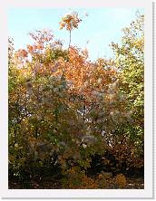 2025-10-29-13h52m21 * 5184 x 3888 * (9.99MB)