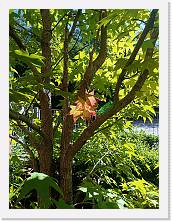 2025-09-19-11h15m35 * 3468 x 4624 * (7.67MB)