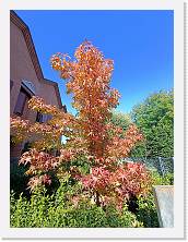 2025-10-17-14h30m06 * 2448 x 3264 * (4.06MB)