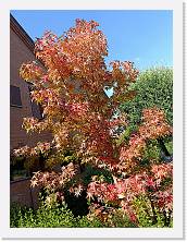 2025-10-17-14h34m37 * 3468 x 4624 * (8.22MB)