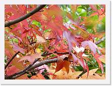 2025-10-25-13h58m05 * 5184 x 3888 * (9.73MB)
