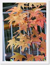 2025-10-25-13h58m26 * 5184 x 3888 * (10.13MB)