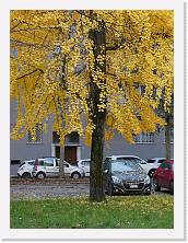 P1010217 * 5184 x 3888 * (10.23MB)