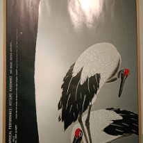 IMG20260403120228