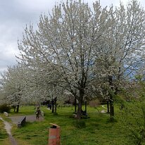 IMG20260330160239