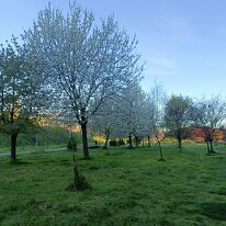 IMG20260404081354